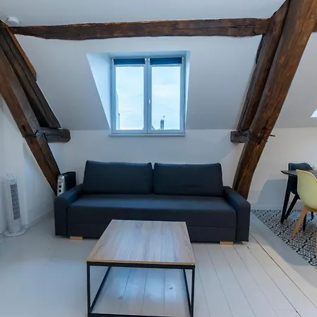 Haussmannien Jaures Apartment Troyes