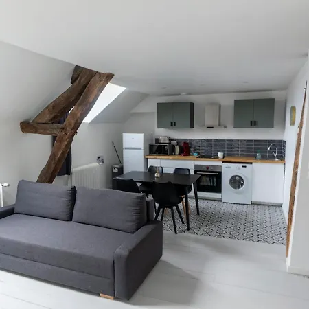Haussmannien Jaures Apartment Troyes