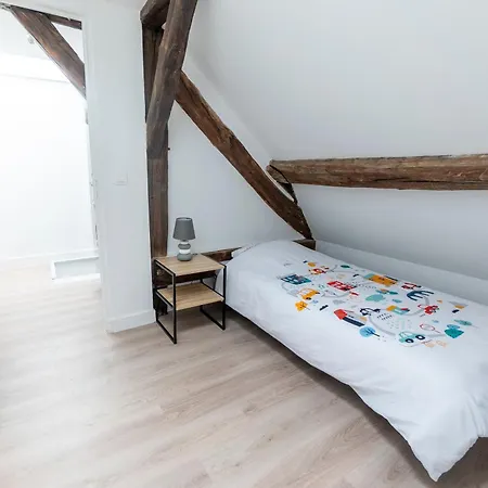 Apartamento Haussmannien Jaures Troyes