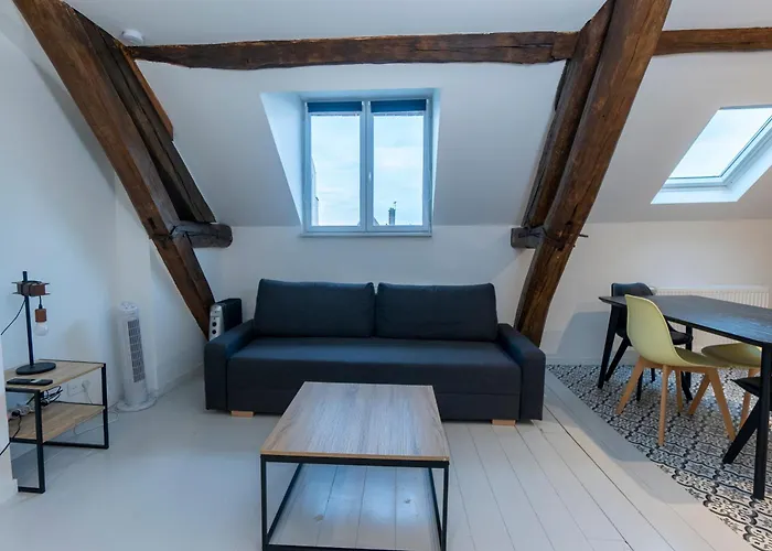 Haussmannien Jaures Lägenhet Troyes